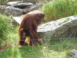 Tiergarten Schönbrunn am 23.03.2023